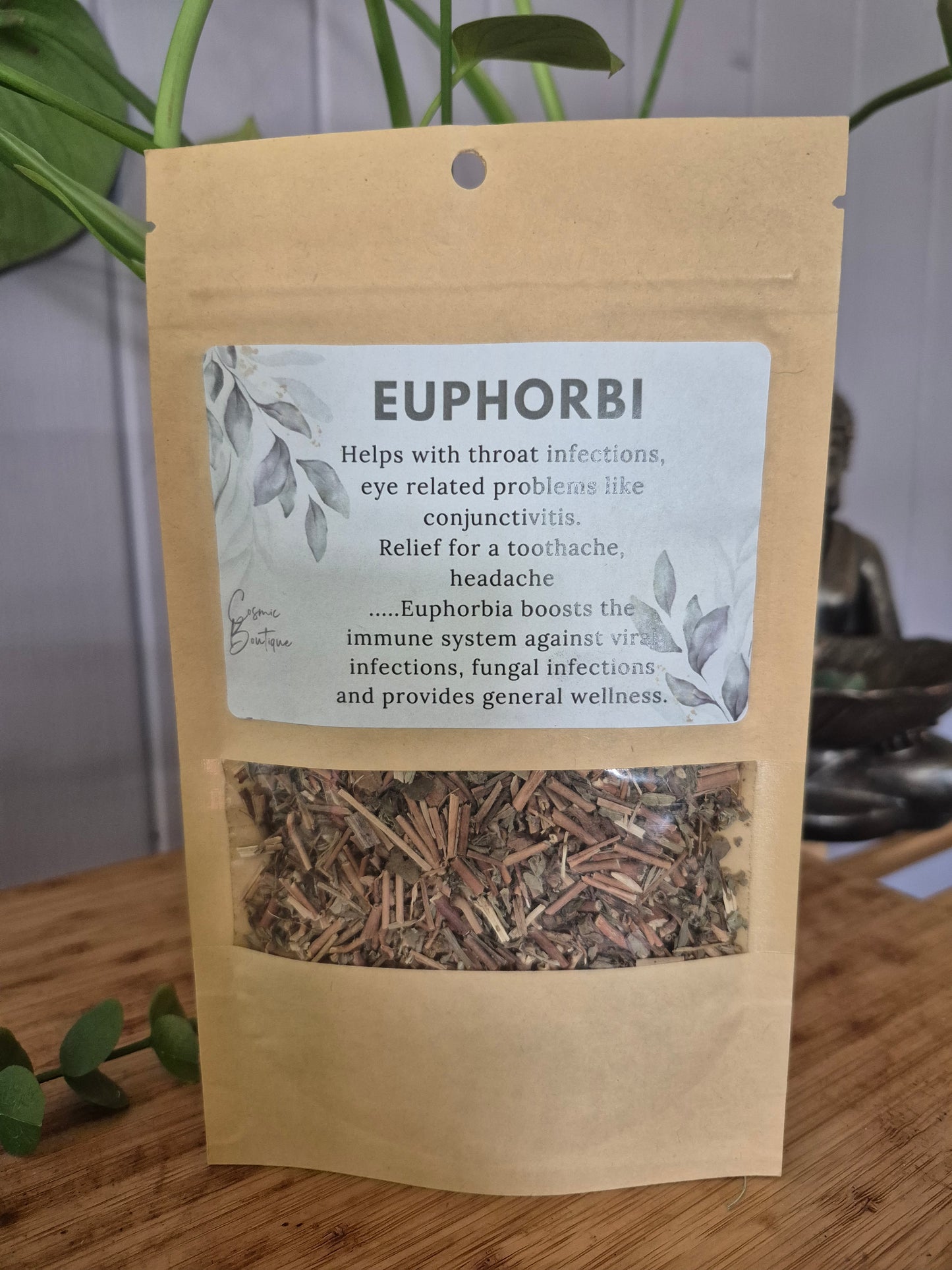 Euphorbi