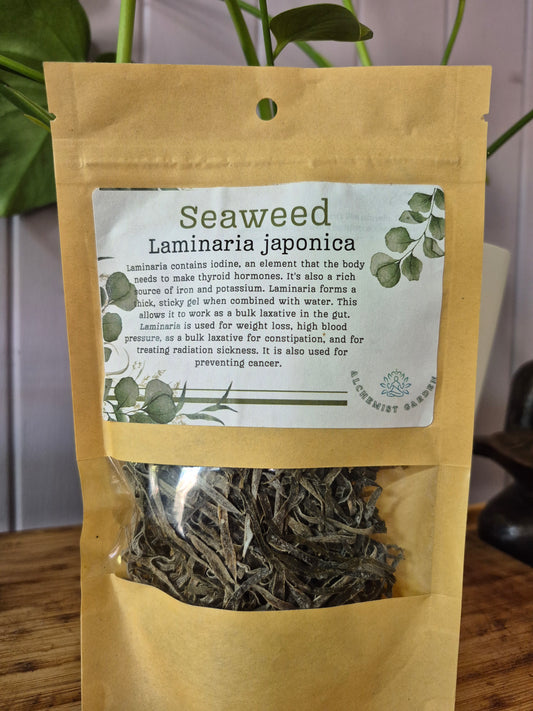 Seaweed