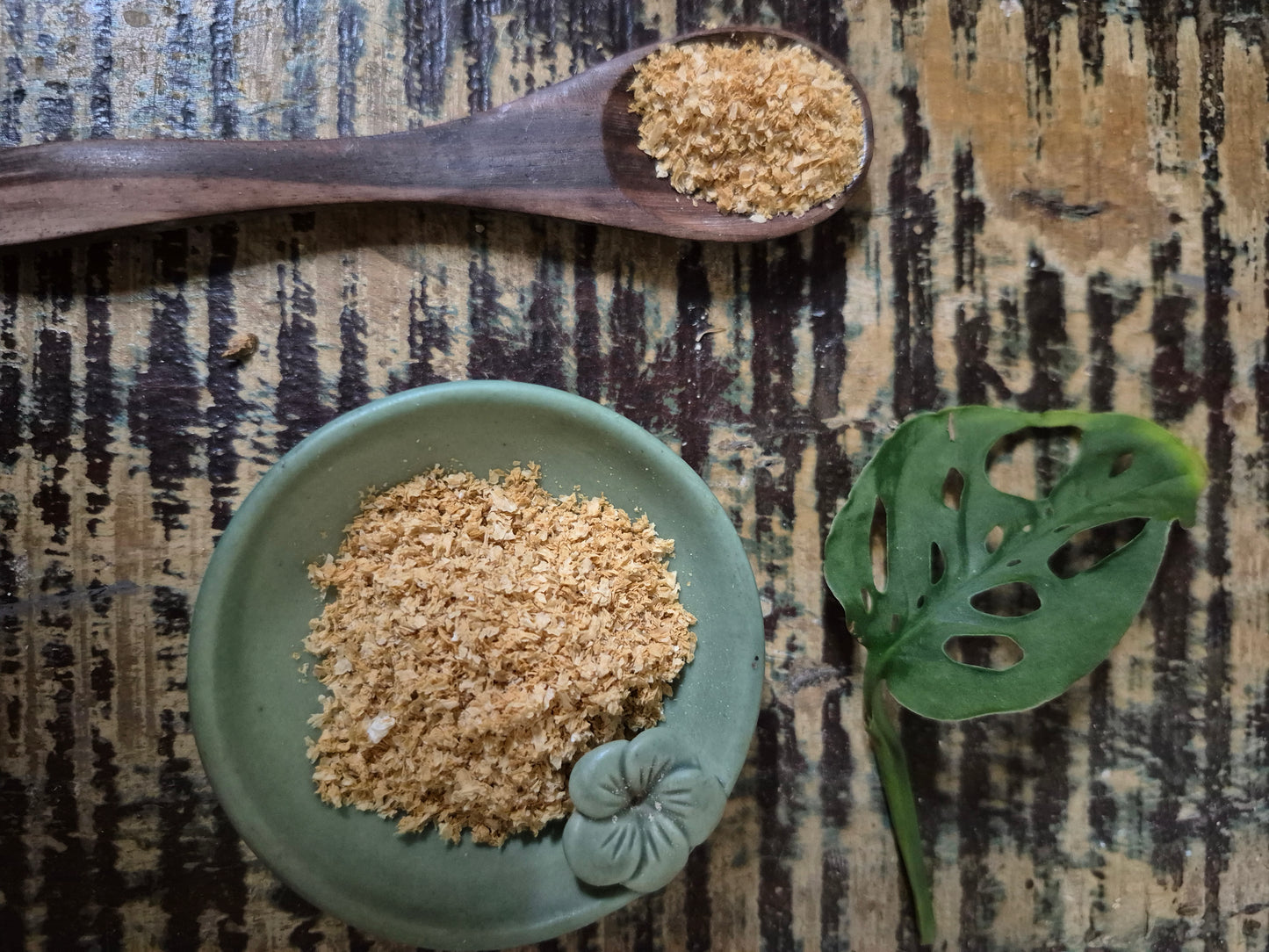 "Close-up of bamboo fungus herb on a wooden spoon, with additional herbs in a white ceramic bowl on a rustic wooden surface."