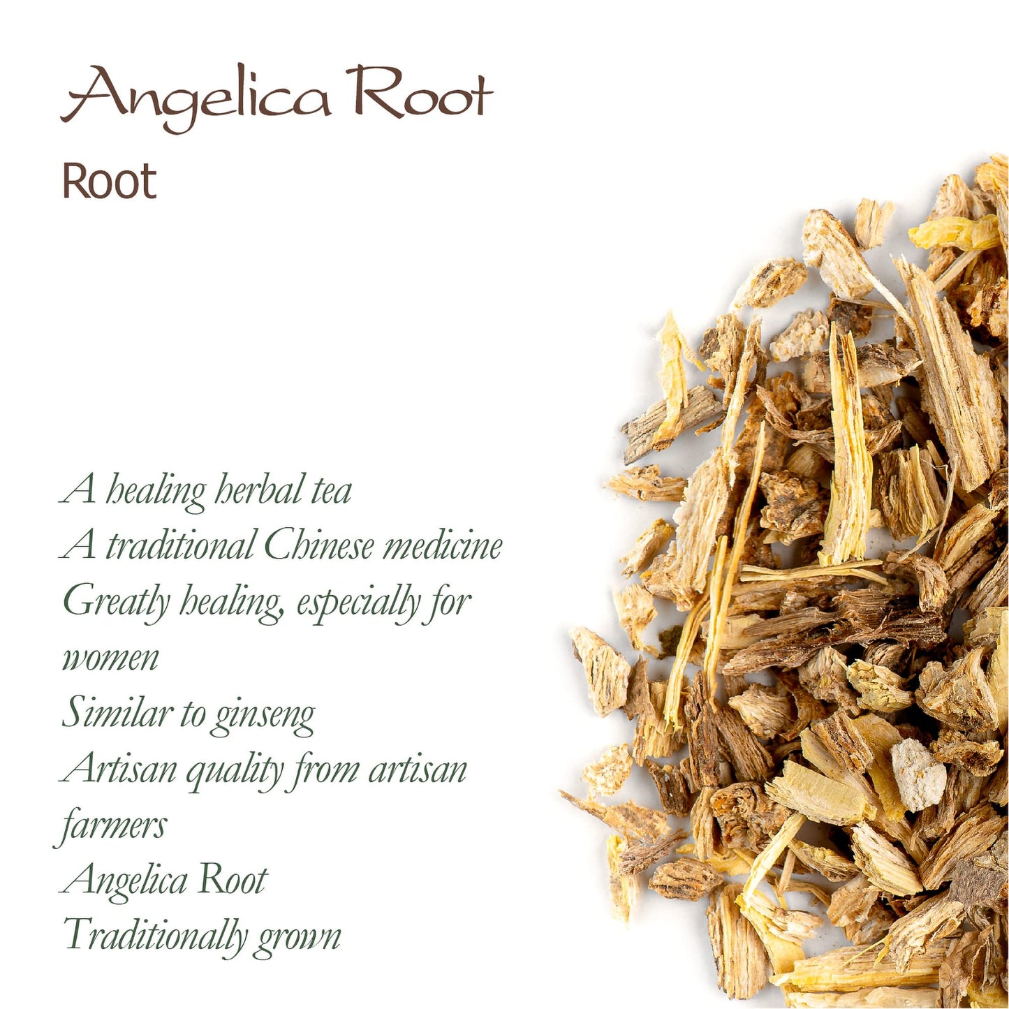 Angelica Root