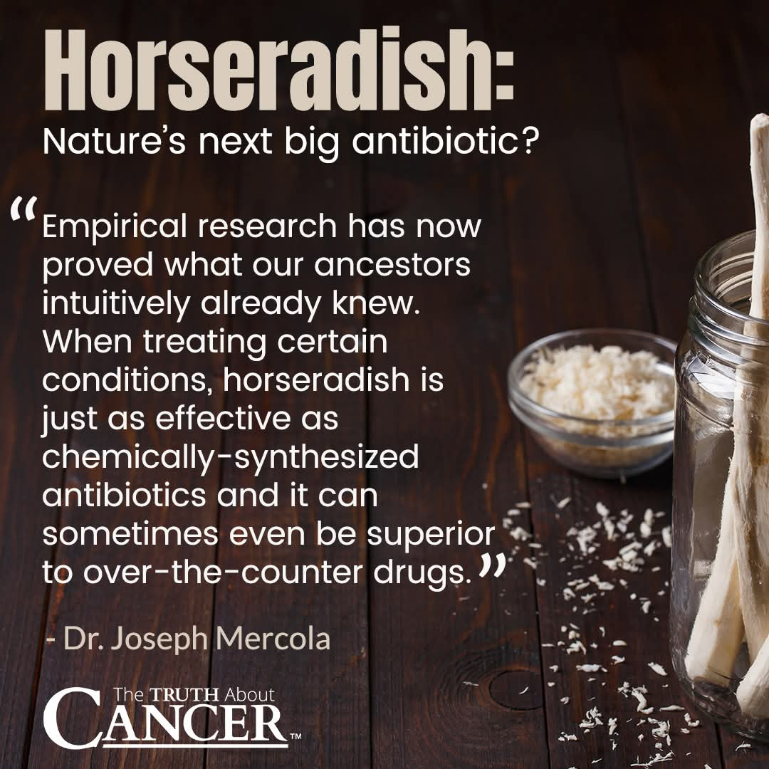 Horseradish